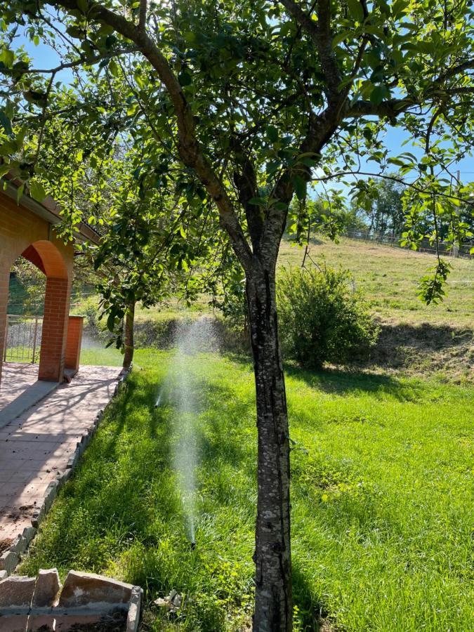Luxury Villa Arianna Tarano 外观 照片