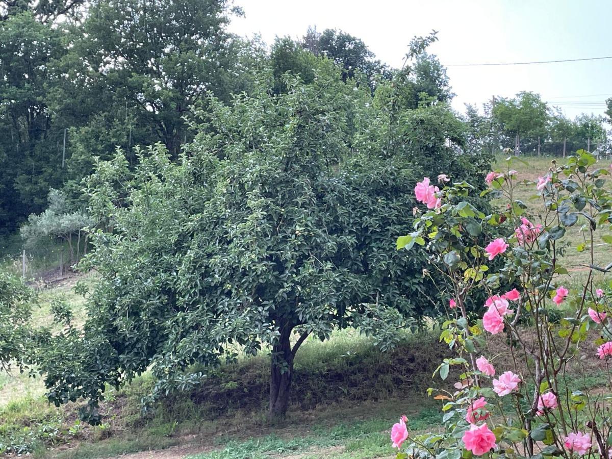 Luxury Villa Arianna Tarano 外观 照片
